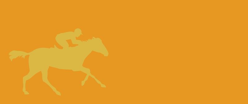 Horse Racing Trivia 