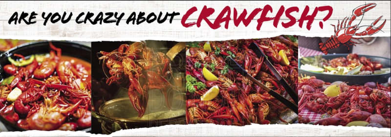 Are you CRAZY about Crawfish?