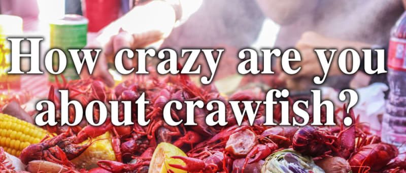 Are you CRAZY about CRAWFISH? Survey