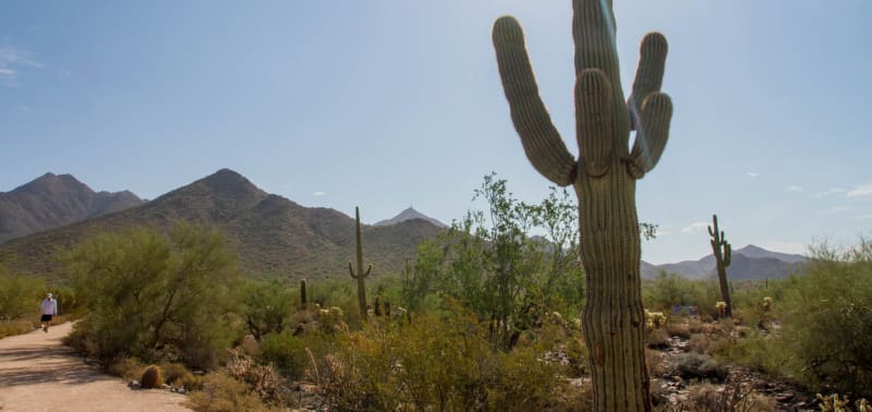 Quiz: How well do you know Scottsdale, Arizona?