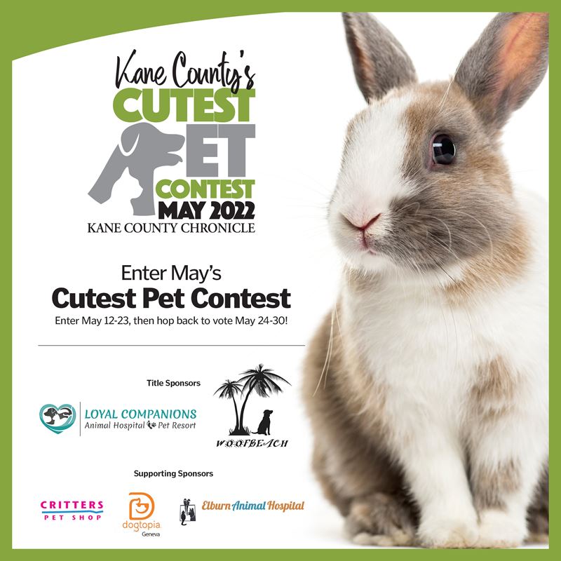 May 2022 Kane County's Cutest Pet Contest