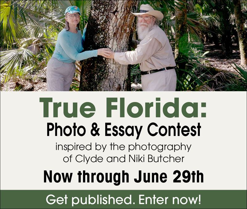 True Florida: Essay Contest