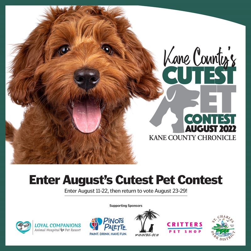 August 2022 Kane County's Cutest Pet Contest