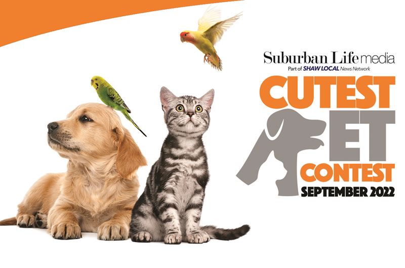 September 2022 Suburban Life Cutest Pet Contest