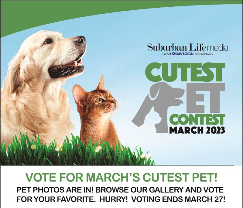 Suburban Life's March Cutest Pet Contest