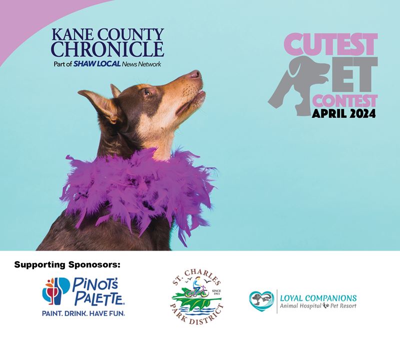 April 2024 Kane County's Cutest Pet Contest