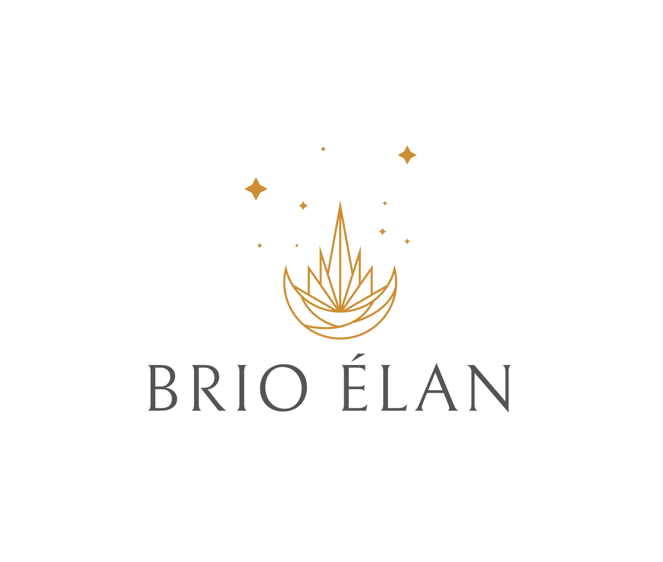 BRIO ÉLAN Skin and Wellness