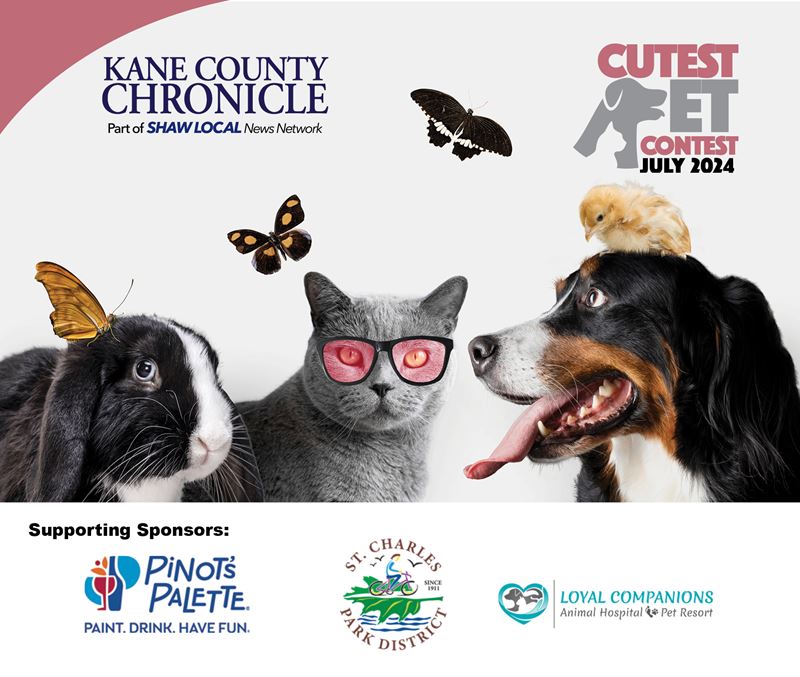 July 2024 Kane County's Cutest Pet Contest