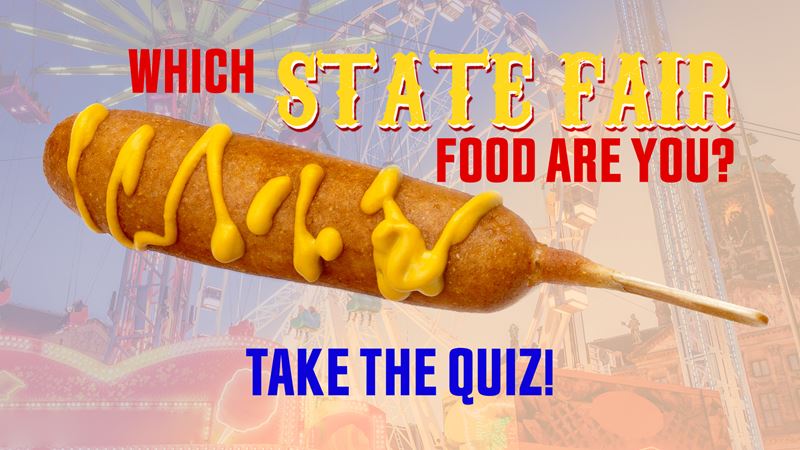 What Iowa State Fair food are you?