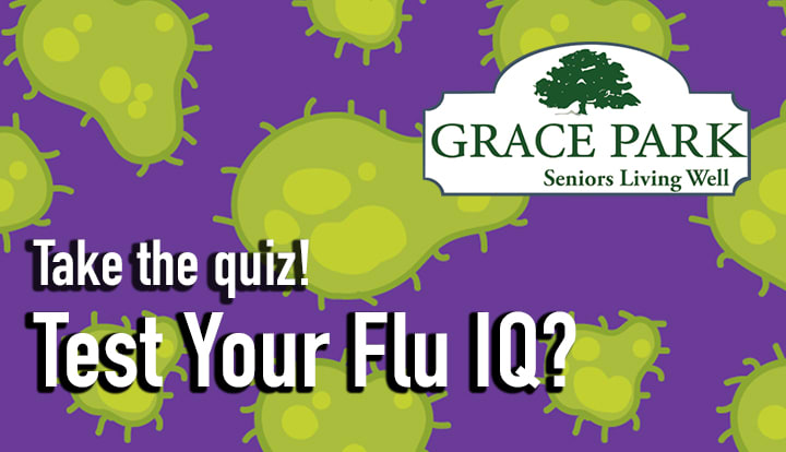 Grace Park's Test Your Flu IQ