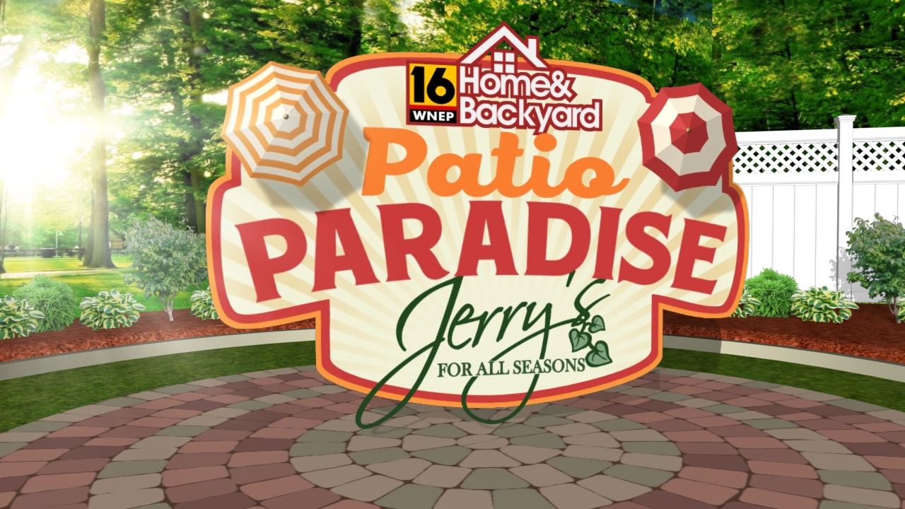 Wnep S Home Backyard Wants To Make Your Patio Truly A Paradise