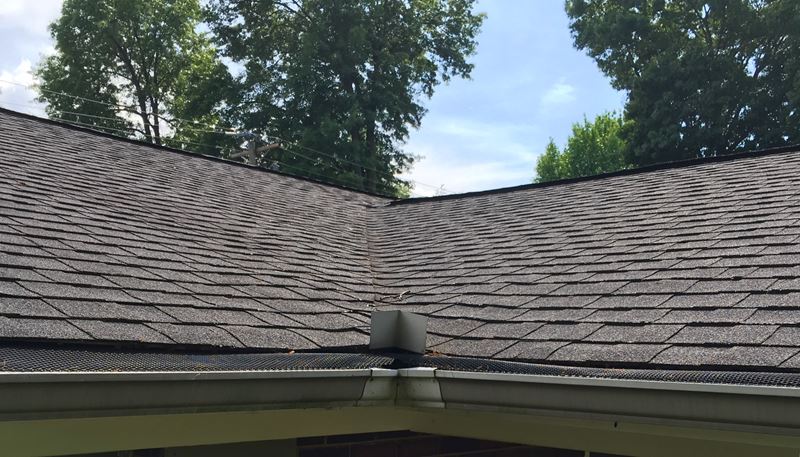 Roof Maintenance Trivia