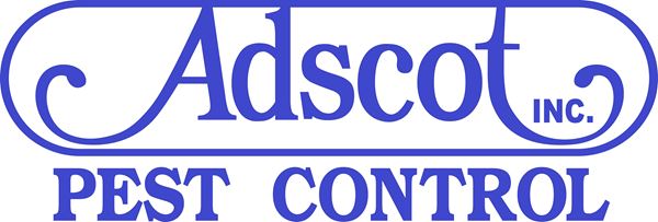 Hotel People Places Best Of The Best 2019 Contests And Promotions Vvdailypress Com Victorville Ca