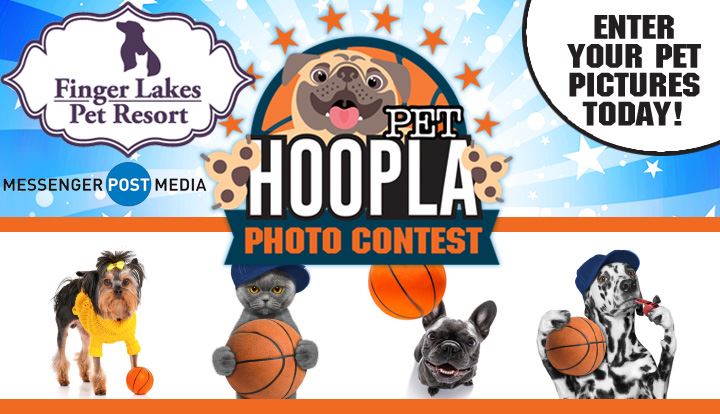 Pet Hoopla Photo Contest