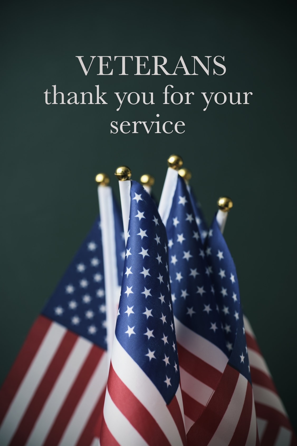 Veterans Day Salute: Thank You for Your Service!