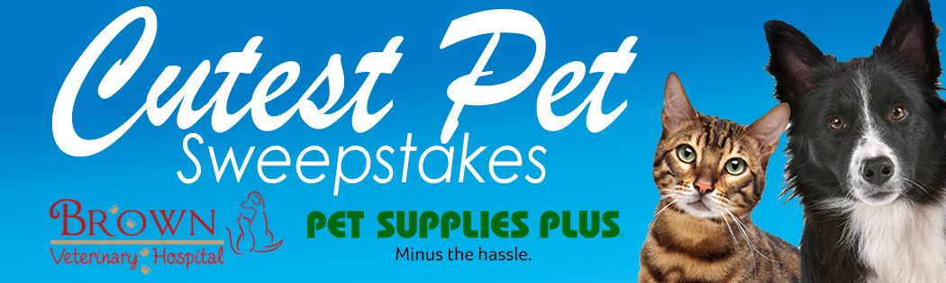 seresto cat collar pet supplies plus
