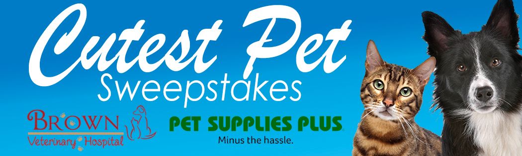 pet supplies plus seresto