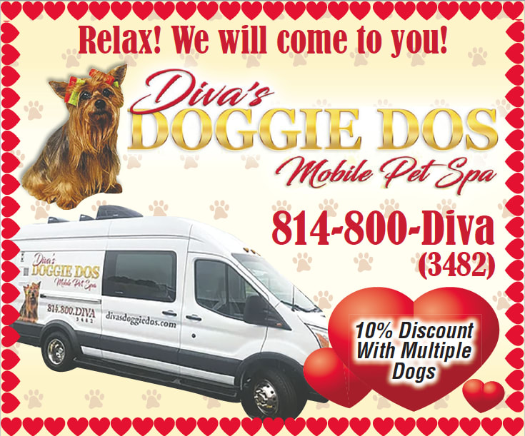 Doggie Diva Mobile Pet Grooming 2025