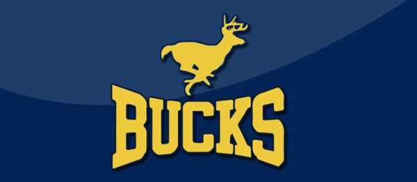 buckhorn high school logo