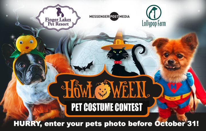 Howloween Pet Costume Contest