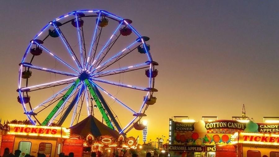 2460612?width=1200&height=630