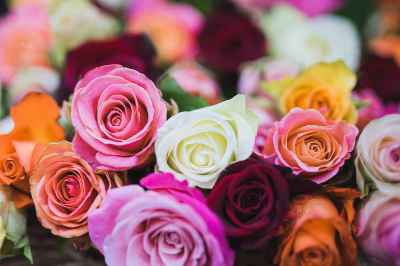 Find Out If You're Bridezilla!