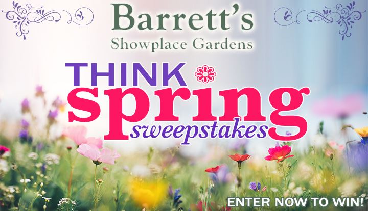 Barrett's Think Spring Sweepstakes!