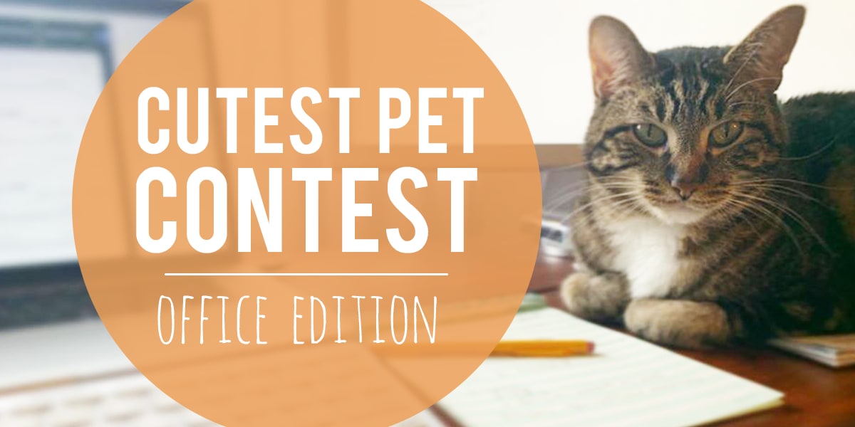 🐾 Cutest Pet Contest Office Edition