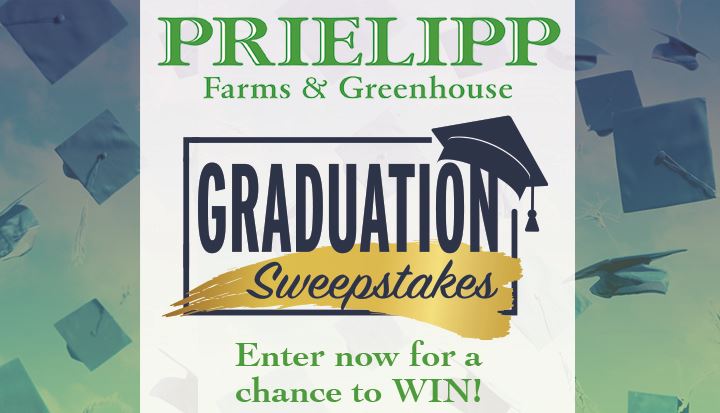 Graduation Sweepstakes