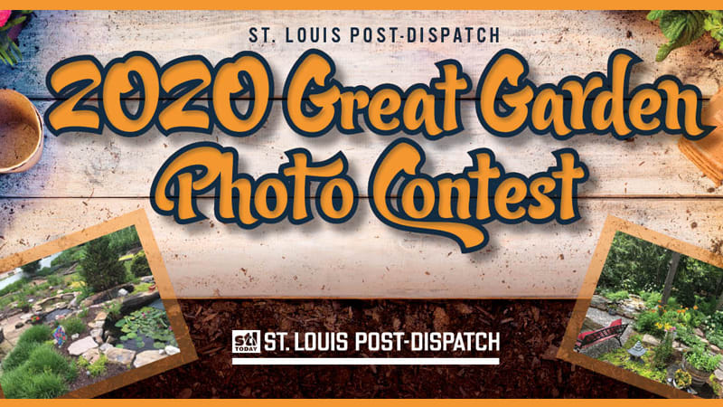 St. Louis Post-Dispatch Great Garden Contest 2020 | www.bagsaleusa.com
