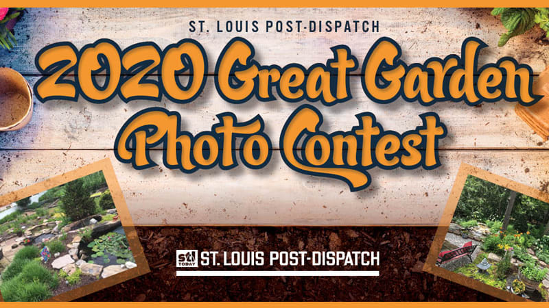 St. Louis Post-Dispatch Great Garden Contest 2020 | www.strongerinc.org