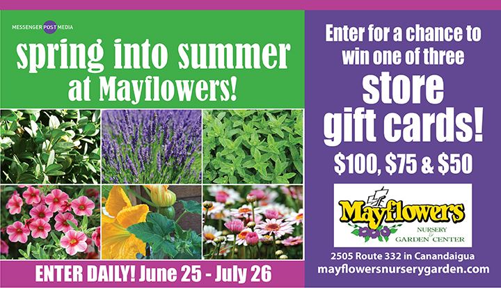 Spring into Summer with Mayflowers