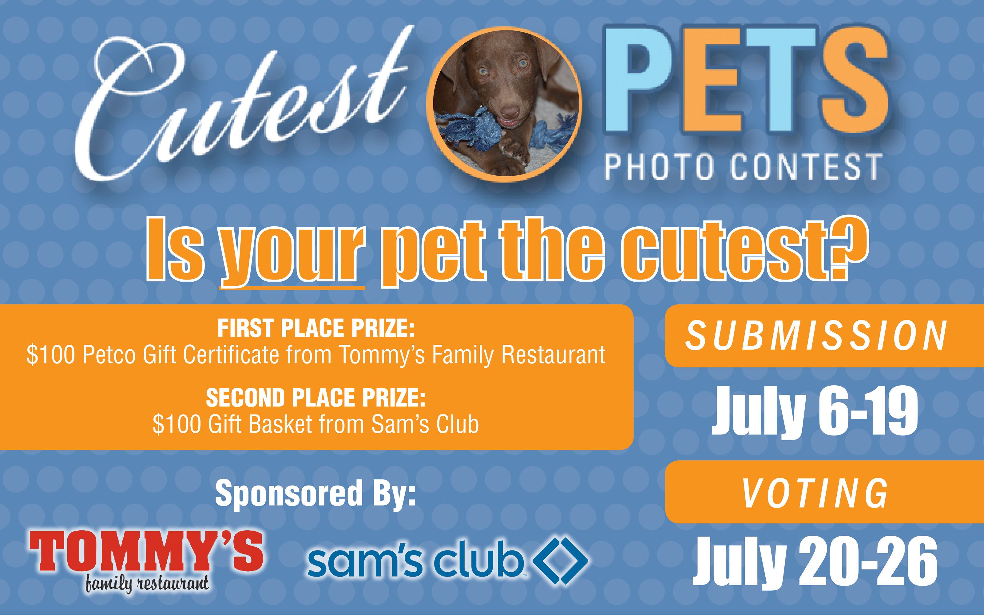 Cutest Pets 2020 Contests Theindependent Com