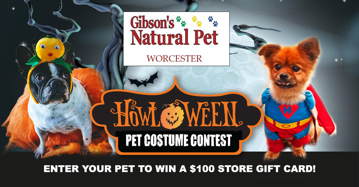 Pet Costume Contest - F&M Bank