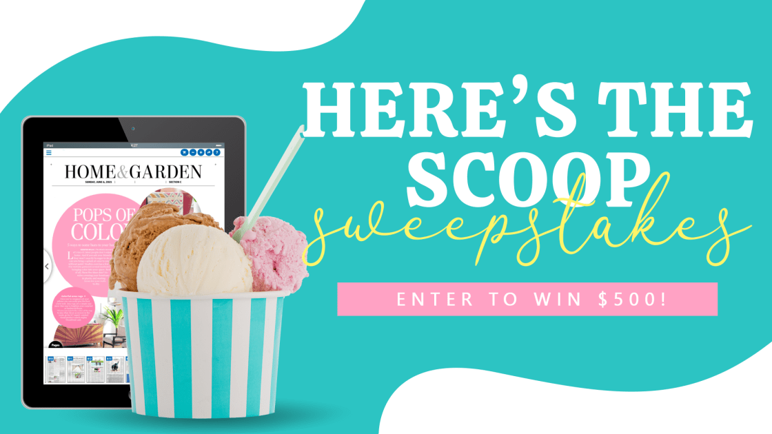 4301525?width=1200&height=630