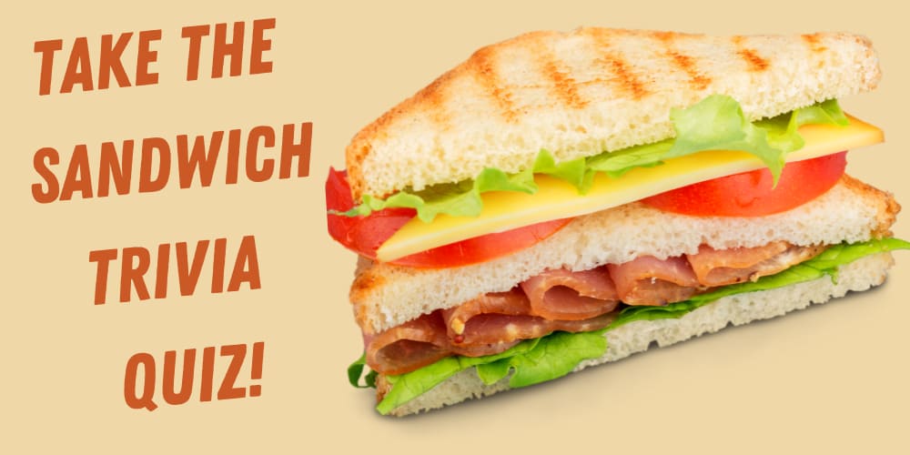 4379123?width=1200&height=630