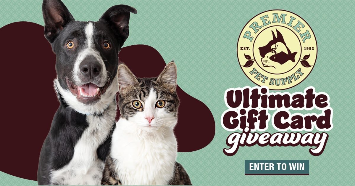 Ultimate Gift Card Giveaway