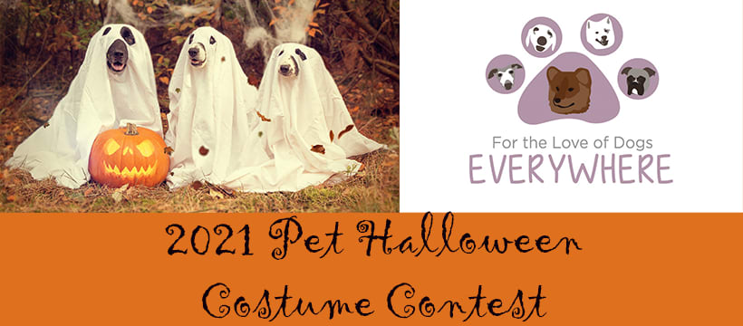 2021 Pet Halloween Costume Contest