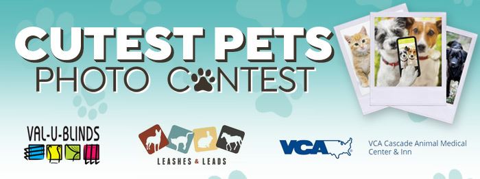 vca cascade animal medical center