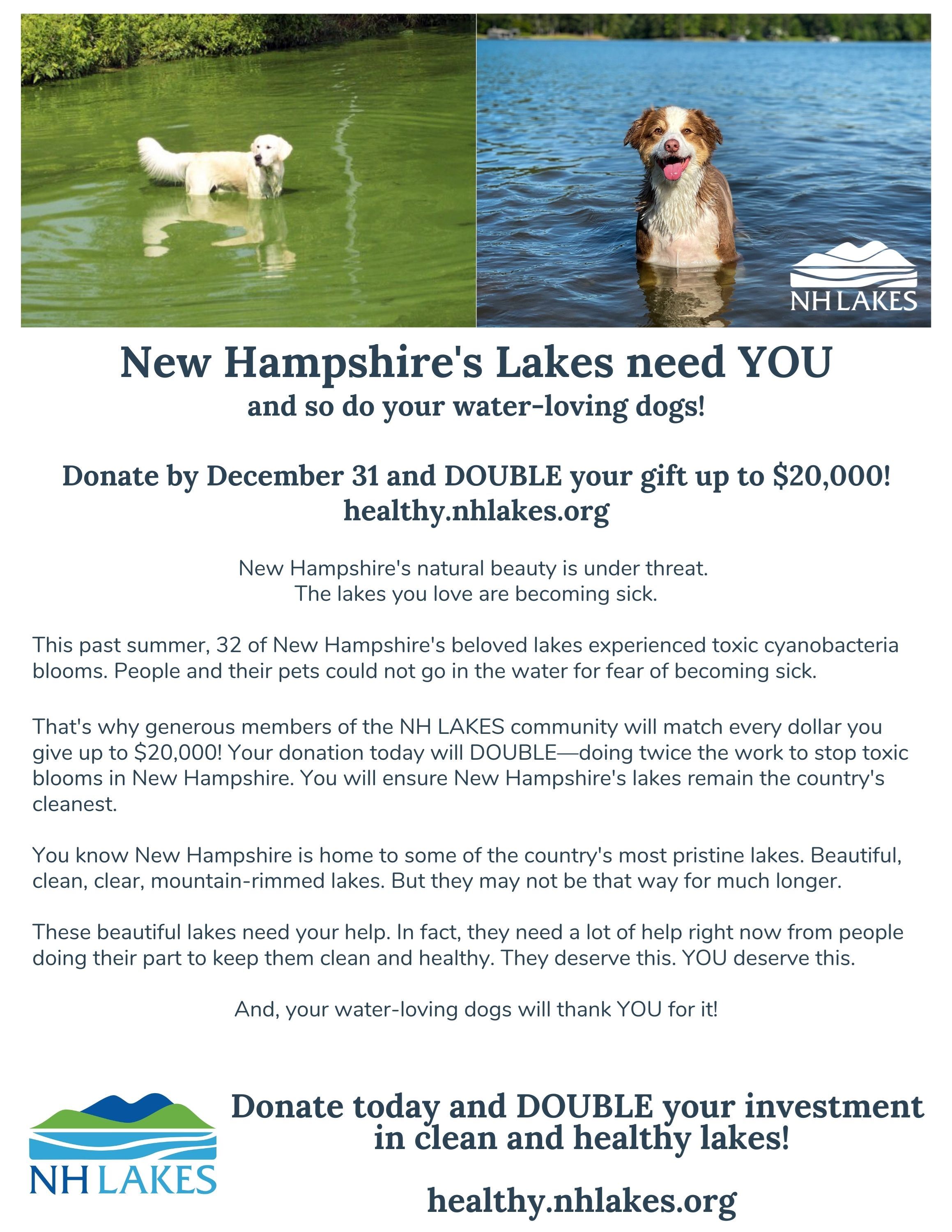 NH Lakes need YOU