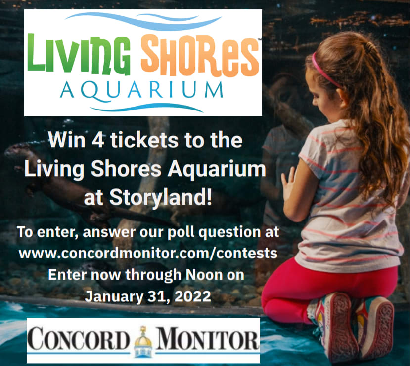 Living Shores Aquarium contest