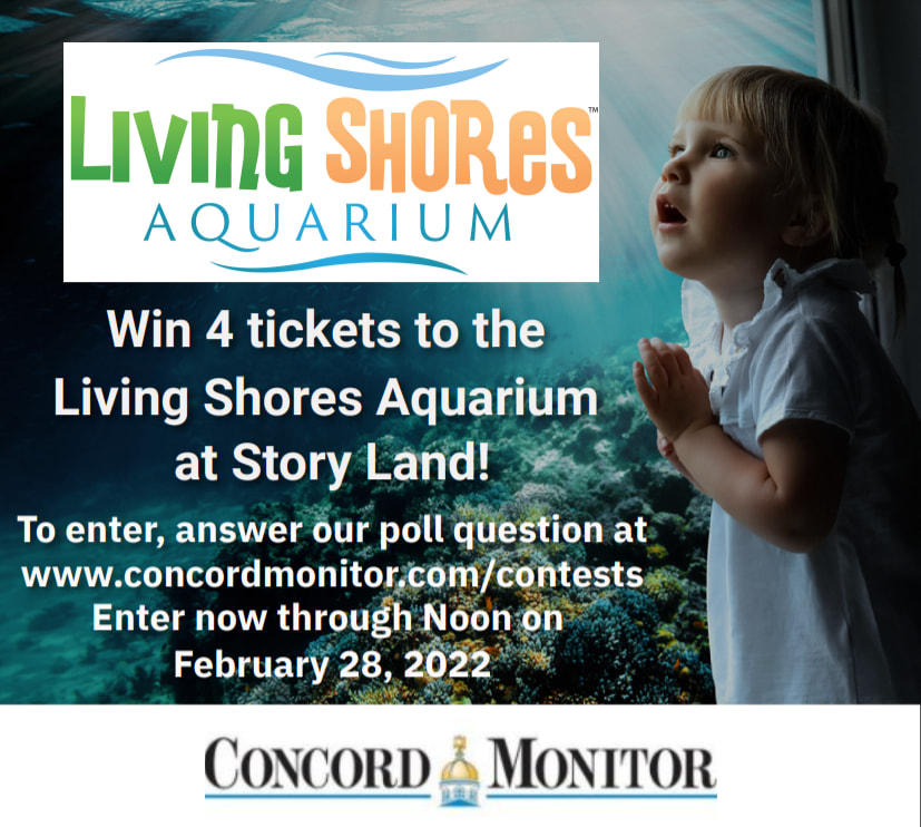 Living Shores Aquarium