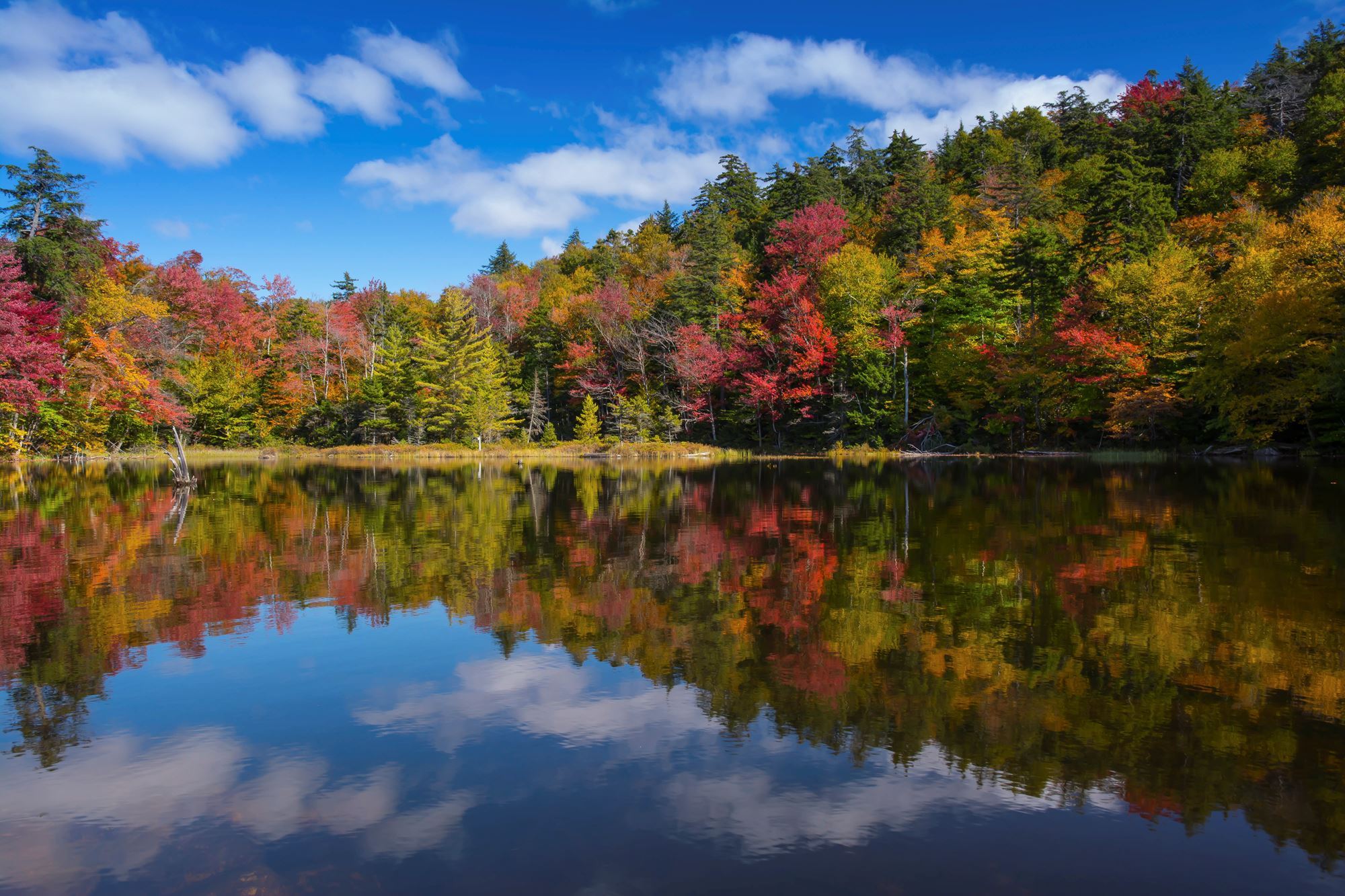 Syracuse University Fall 2023 Calendar 2023 October Storm Team Calendar Submissions | Wsyr