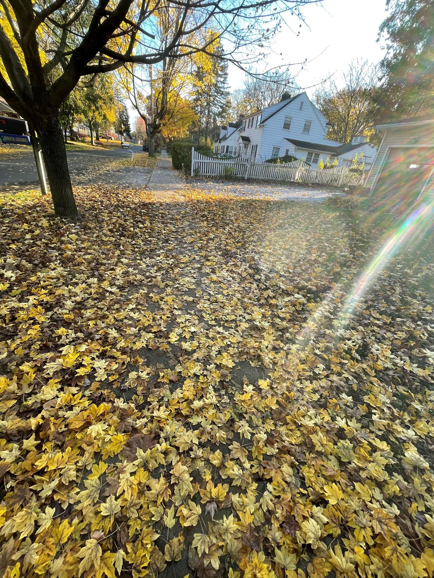 Syracuse University Fall 2023 Calendar 2023 October Storm Team Calendar Submissions | Wsyr