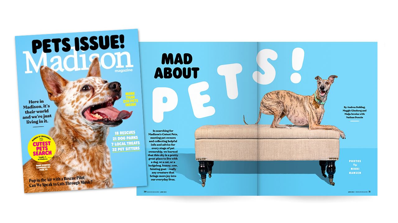 On the left is the cover of the June pet-themed issue of Madison Magazine with a smiling dog named Toggle and on the right is the opening spread of the cover story.