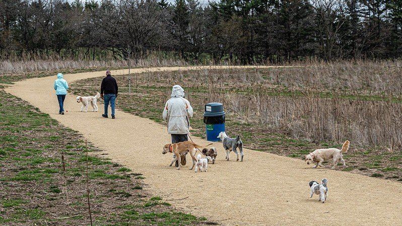People walk their dogs along a dirt path at Anderson Farm Dog Park in Oregon