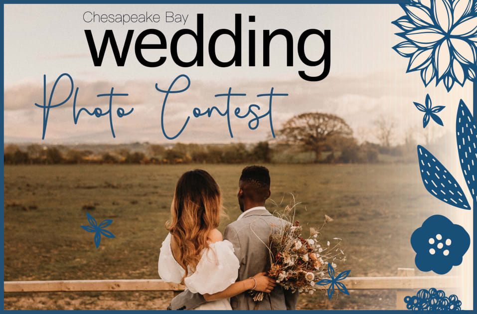 4975853?width=1200&height=630