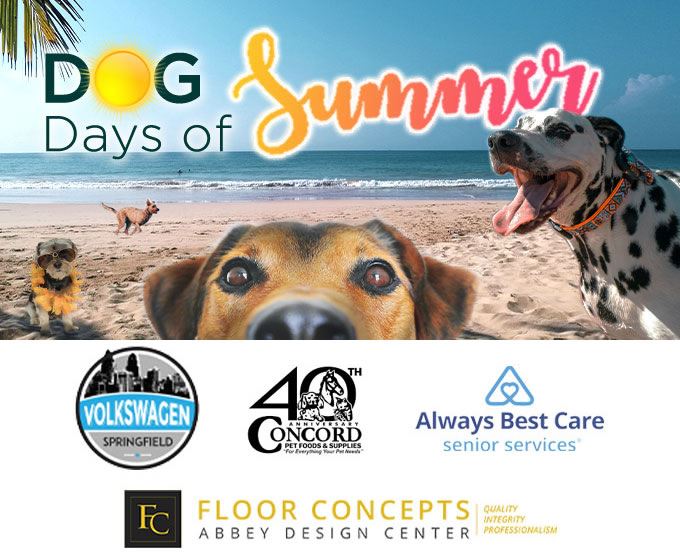 what does the idiom dog days of summer mean