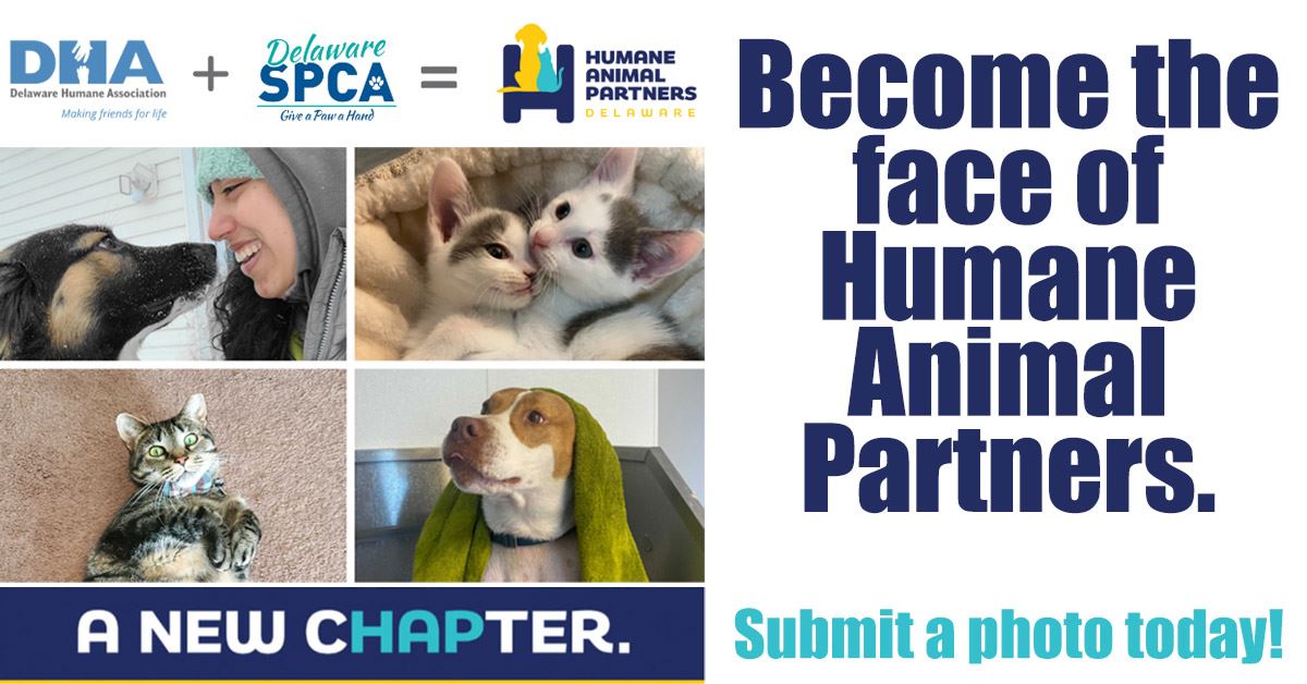 Become The Face of Humane Animal Partners
