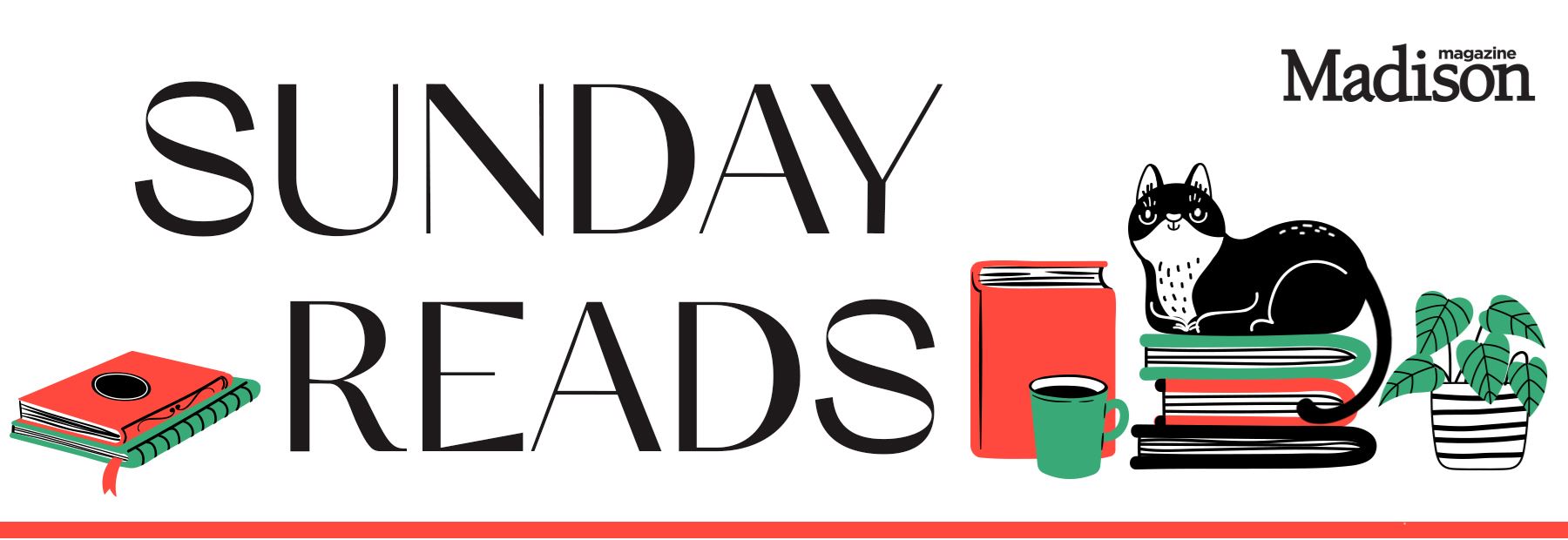 Sunday Reads Banner with books and a cat